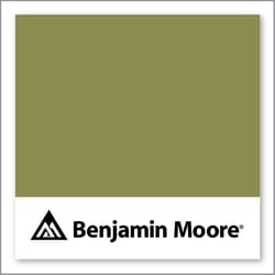 Benjamin Moore Terrapin Green 2145-20