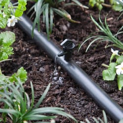 Raindrip Spot Drip Irrigation Dripper 1 gph 10 pk