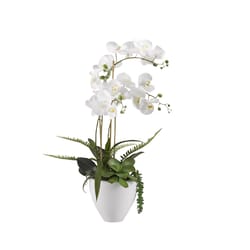 DW Silks 29 in. H X 12 in. L Polyester White Orchids in White Ceramic Bowl