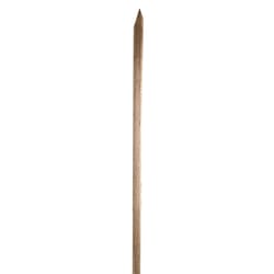 Panacea 96 in. H X 2 in. W X 2 in. D Brown Wood Tree Stakes