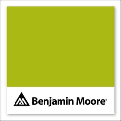 Benjamin Moore Spring Moss 2027-20
