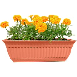 Misco Milano 6.15 in. H X 7.5 in. W Plastic Window Box Clay