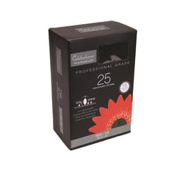 Celebrations Platinum LED C9 Red 25 ct String Christmas Lights 25 ft.