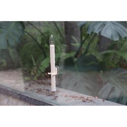 Celestial Lights LED Warm White LED Battery Operated Taper Candle 9 in.