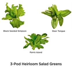 AeroGarden Salad Seed Pod Kit 1 pk
