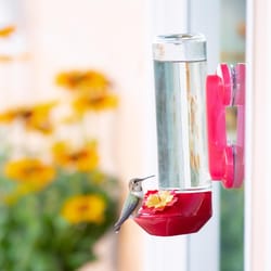 Perky-Pet Hummingbird 14 oz Glass Nectar Feeder 2 ports