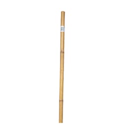 Bond Manufacturing 6 ft. H X 1.25 in. D Natural Bamboo Pole