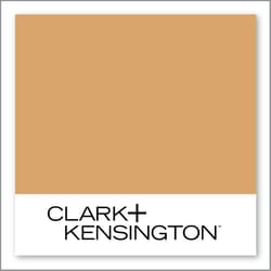 Clark+Kensington Pale Ale 15B-5