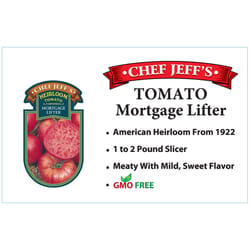 Chef Jeff Red Heirloom Mortgage Lifter Tomato Vegetable Plant