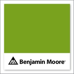 Benjamin Moore Iguana Green 2028-10