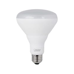 Feit BR30 E26 (Medium) LED Bulb Daylight 65 Watt Equivalence 1 pk