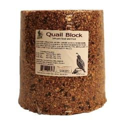 Sahuaro Seed Quail Corn Bird Food Block 15 lb