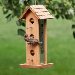 Birdscapes Bird Feeder Tin Jay Aluminum 2 lbs.