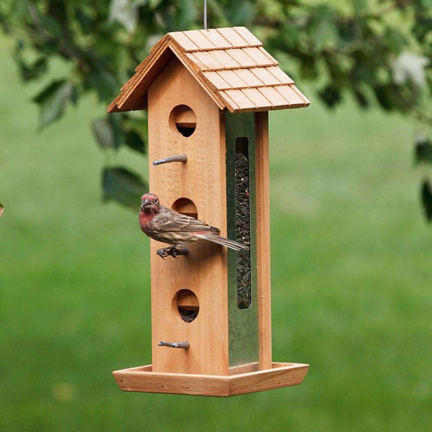 Birdscapes Bird Feeder Tin Jay Aluminum 2 lbs. Mfr# 50171