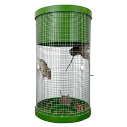 Billy Bob Multiple Catch Cage Trap For Mice 1 pk