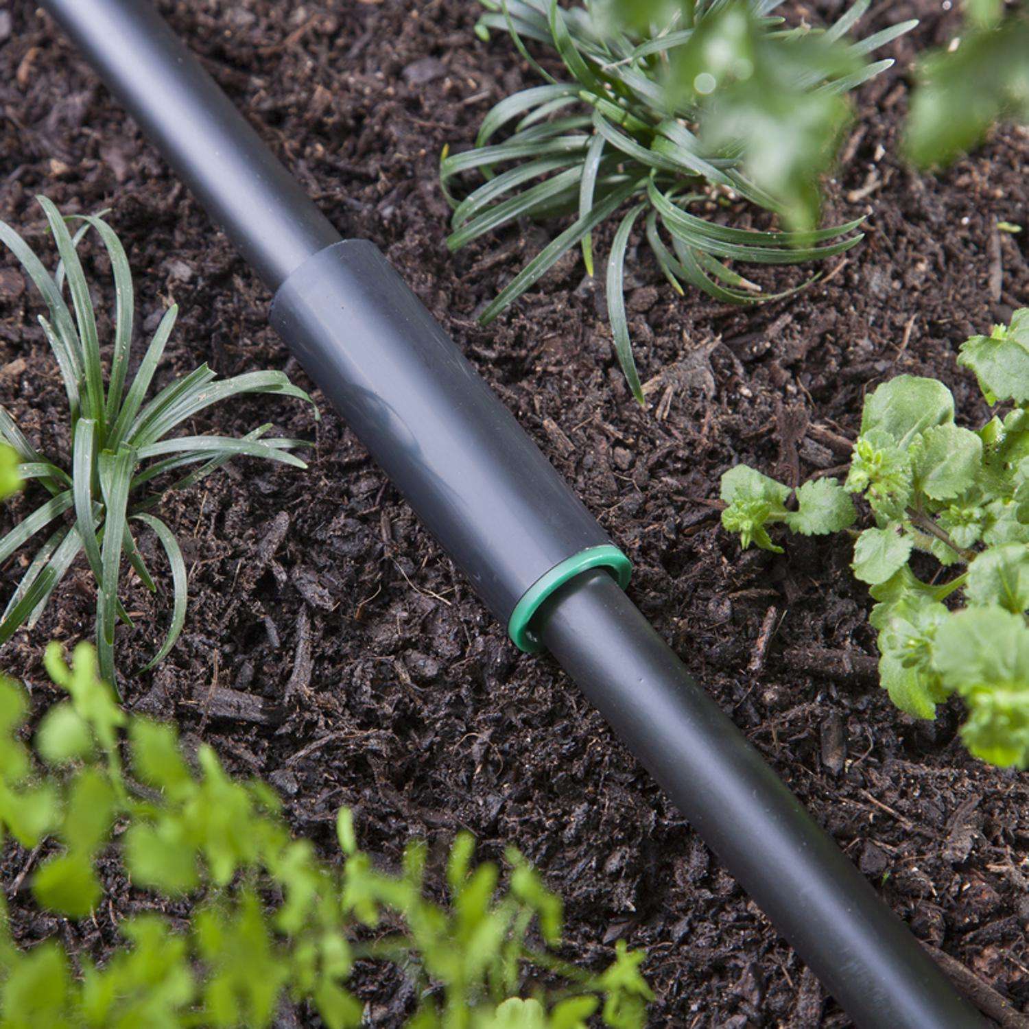 Raindrip 5/8 in. Compression Drip Irrigation Coupler 1 pk