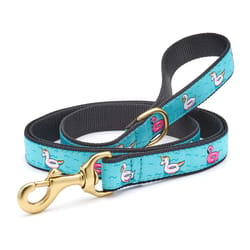 Up Country Black/Blue Floaties Nylon Dog Leash