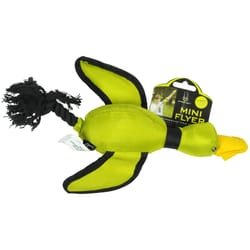 Hyper Pet Green Fabric Mini Duck Flyer Dog Toy Medium 1 pk