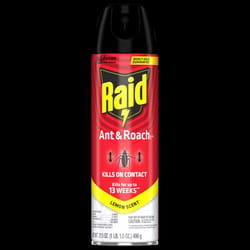 Raid Insect Killer Aerosol 17.5 oz