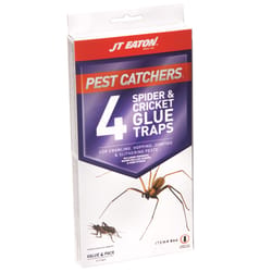  Catchmaster Rat & Mouse Glue Traps 8Pk, Large Bulk