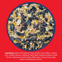 Lyric Supreme Assorted Species Sunflower Seeds Wild Bird Food 40 lb