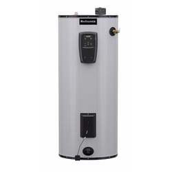 Reliance 50 gal 5500 W Electric Water Heater