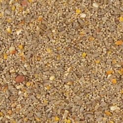 Kaytee No Mess Songbird Hulled Sunflower Seed Wild Bird Food 10 lb