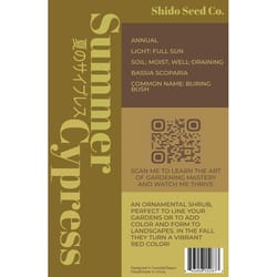 Chive Shido Seed Co Summer Cypress Seeds 1 pk