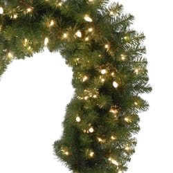 Celebrations Platinum 14 in. D X 9 ft. L LED Prelit Warm White Mixed Pine Christmas Garland