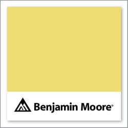 Benjamin Moore Yellow Finch 2024-40