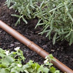 Raindrip Drip-A-Long Drip Irrigation Plant Watering Kit