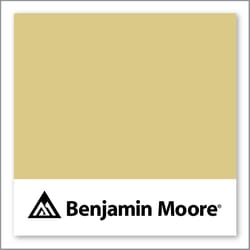 Benjamin Moore Mother Earth 376