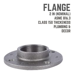 STZ Industries 2 in. FIP each Black Malleable Iron Floor Flange