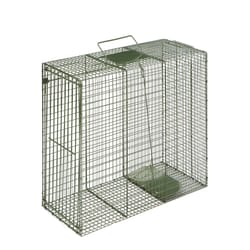 Duke Extra Large Cage Trap For Bobcats and Coyotes 1 pk