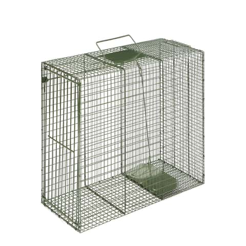 Wild Dog Cage Traps - Professional Trapping Supplies