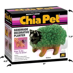 Chia Pet Kitten Decorative Planter Clay 1 pk
