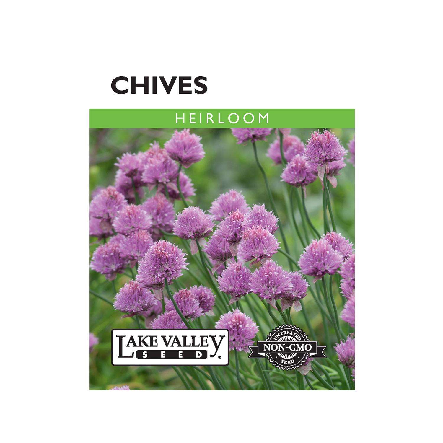 Lake Valley Seed Herb Seeds Ace Hardware