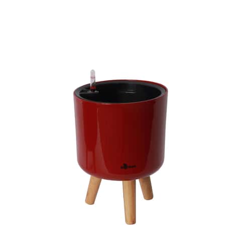 image-1