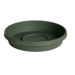 Bloem TerraTray 2.5 in. H X 14 in. D Resin Plant Saucer Living Green