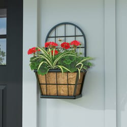 Panacea Steel Wall Planter Black