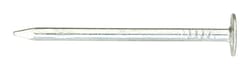 Ace 2 in. Roofing Electro-Galvanized Steel Nail Large Head 1 lb