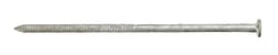Ace 6 in. Timber Tie Hot-Dipped Galvanized Steel Nail Flat Head 5 lb