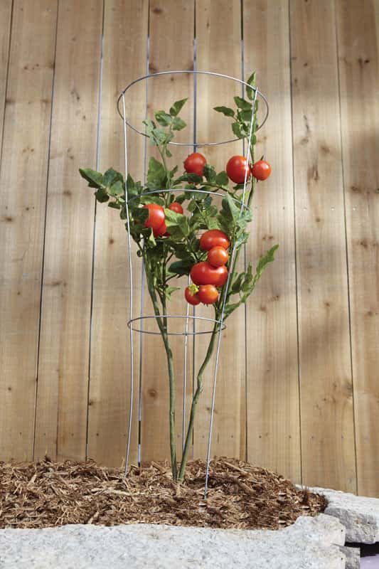 Ace Hardware Tomato Cages