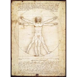 Eurographics The Vitruvian Man Jigsaw Puzzles Multicolored 1000 pc