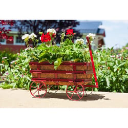 Panacea 14 in. W X 10 in. D Steel Industrial Wagon Planter Antique Red