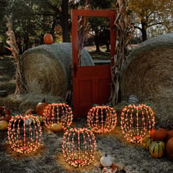 Celebrations White 216 ct 14 in. LED Prelit Short Foldable Pumpkin Halloween Decor