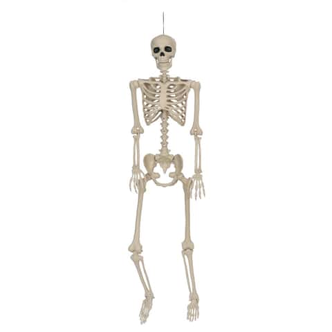 Bag O' Bones Beach Skeleton Lets You Create a Human Skeleton In The Sand