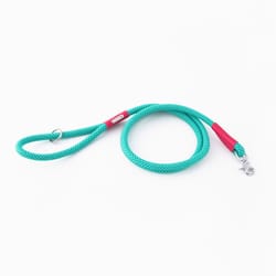 ZippyPaws Teal Mod Essential Poly Dog Leash