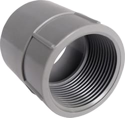 Cantex 1-1/4 in. D PVC Female Adapter For PVC 1 each