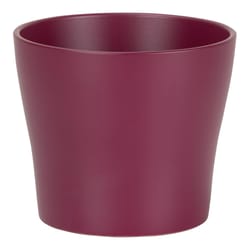 Scheurich Mirror Silver 3.5 in. D Ceramic Flower Pot Burgundy